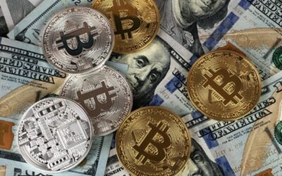 Crypto: Currency or Investment?